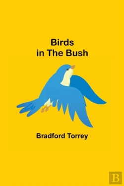 Bertrand.pt - Birds In The Bush