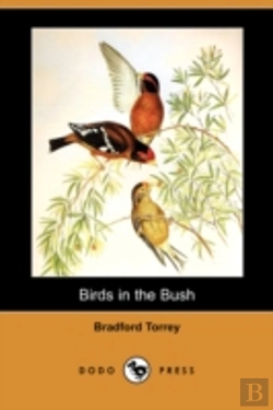 Bertrand.pt - Birds In The Bush (Dodo Press)