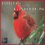 Birds In The Garden