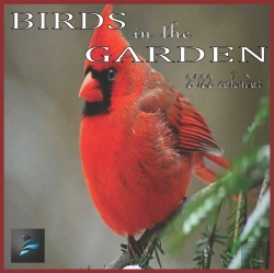 Bertrand.pt - Birds In The Garden