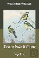 Birds In Town & Village