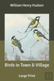 Birds In Town & Village
