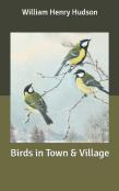 Birds In Town & Village