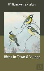Birds In Town & Village
