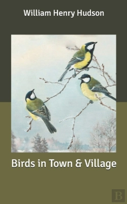 Bertrand.pt - Birds In Town & Village