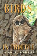 Birds In Trouble