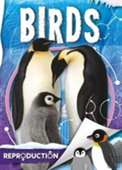 Bertrand.pt - Birds