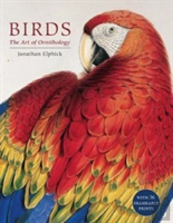 Bertrand.pt - Birds