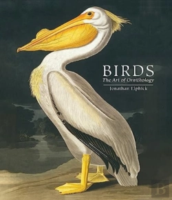 Bertrand.pt - Birds