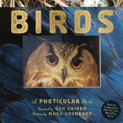 Bertrand.pt - Birds