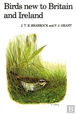 Bertrand.pt - Birds New To Britain And Ireland