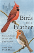Birds Of A Feather