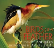 Birds Of A Feather
