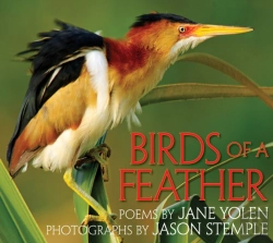 Bertrand.pt - Birds Of A Feather