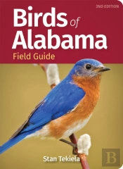 Birds Of Alabama Field Guide