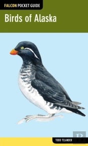 Birds Of Alaska