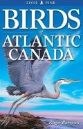 Birds Of Atlantic Canada