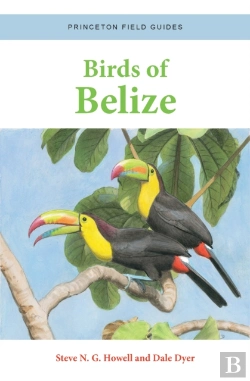 Bertrand.pt - Birds Of Belize