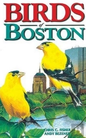 Birds Of Boston