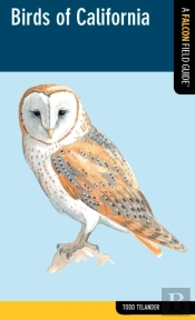 Birds Of California