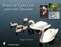 Bertrand.pt - Birds Of Cape Cod & The Islands