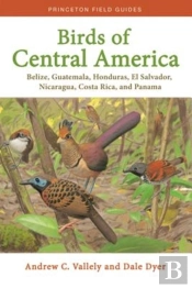 Birds Of Central America