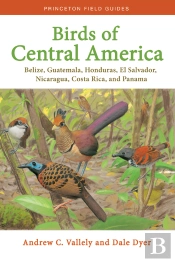 Birds Of Central America