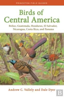 Bertrand.pt - Birds Of Central America