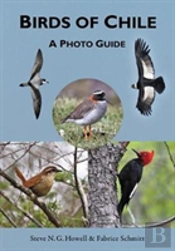 Birds Of Chile