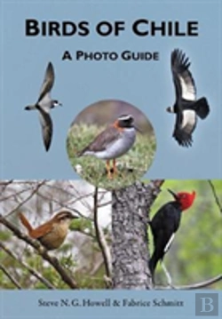 Bertrand.pt - Birds Of Chile