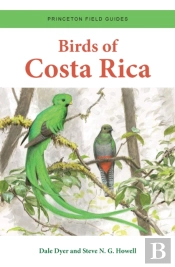 Birds Of Costa Rica