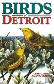 Birds Of Detroit