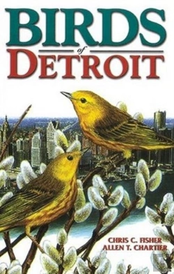 Bertrand.pt - Birds Of Detroit