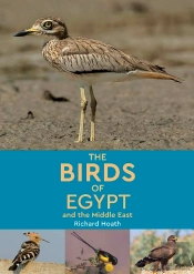 Birds Of Egypt And The Middle East
