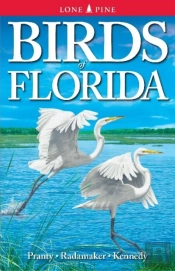 Birds Of Florida