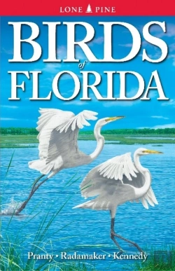 Bertrand.pt - Birds Of Florida