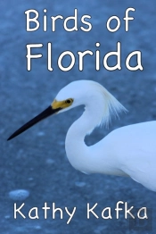 Birds Of Florida