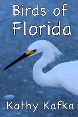 Bertrand.pt - Birds Of Florida