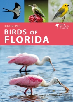 Bertrand.pt - Birds Of Florida