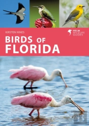 Birds Of Florida