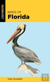 Birds Of Florida