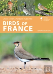Birds Of France
