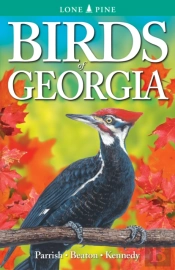 Birds Of Georgia