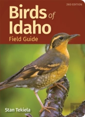 Birds Of Idaho Field Guide