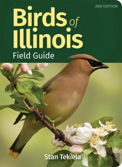 Bertrand.pt - Birds Of Illinois Field Guide