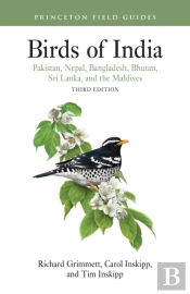 Birds Of India