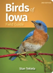 Birds Of Iowa Field Guide