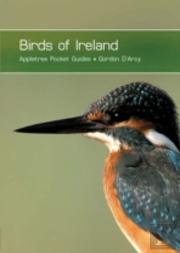 Birds Of Ireland