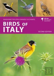 Birds Of Italy