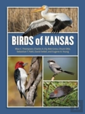 Birds Of Kansas